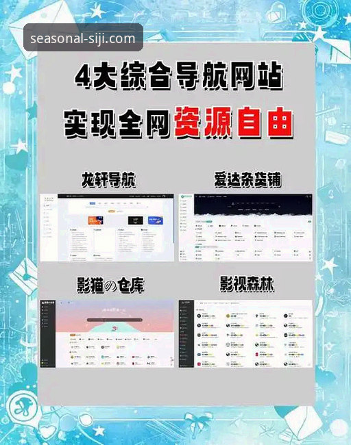 为什么选择四季网站官方平台获取专业服务？